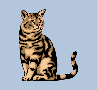 boutique-chat