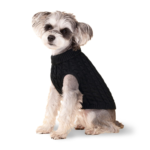 Chandails pour chiens de petite et moyenne taille chat