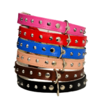 Collier pour chien en cuir robuste avec clous